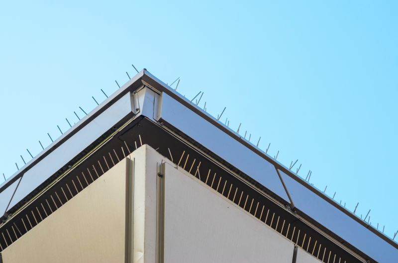 Bird Spike Installation
