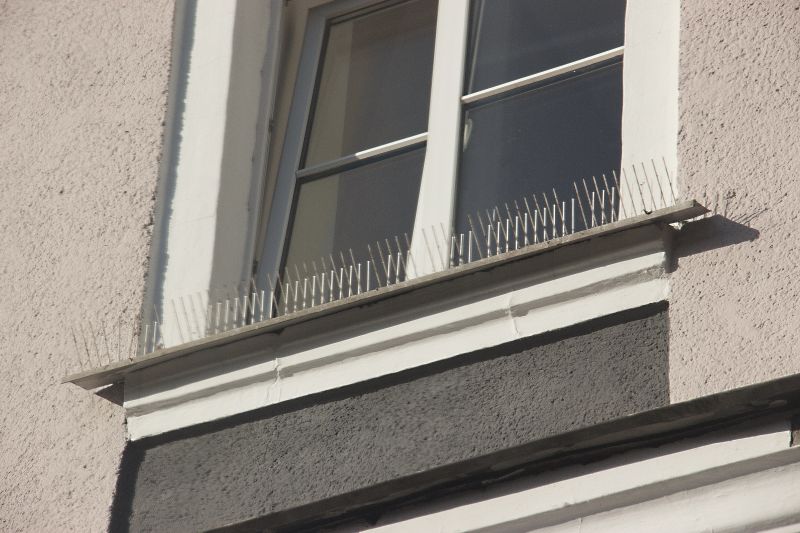 Bird Spike Installation Cost — Cost of Bird Spike Installation