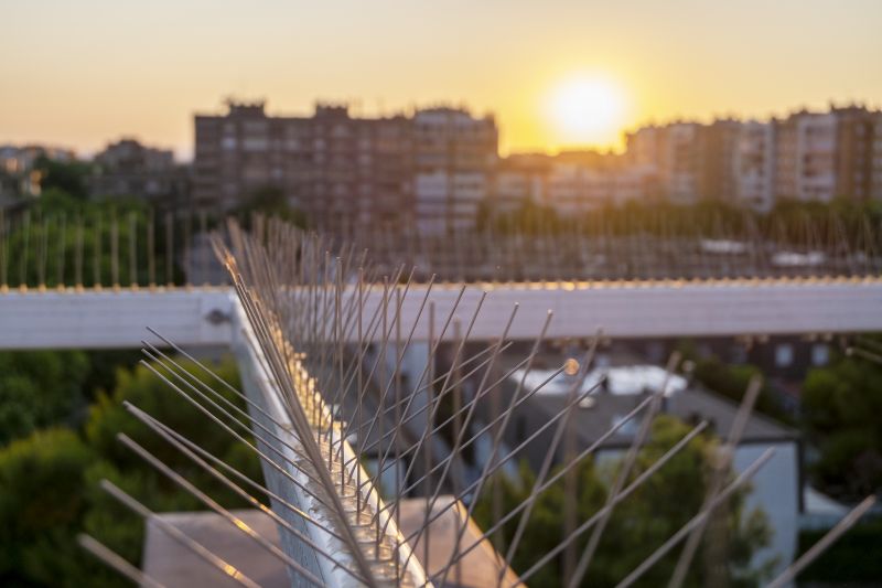 Bird Spike Installation Cost — Cost of Bird Spike Installation