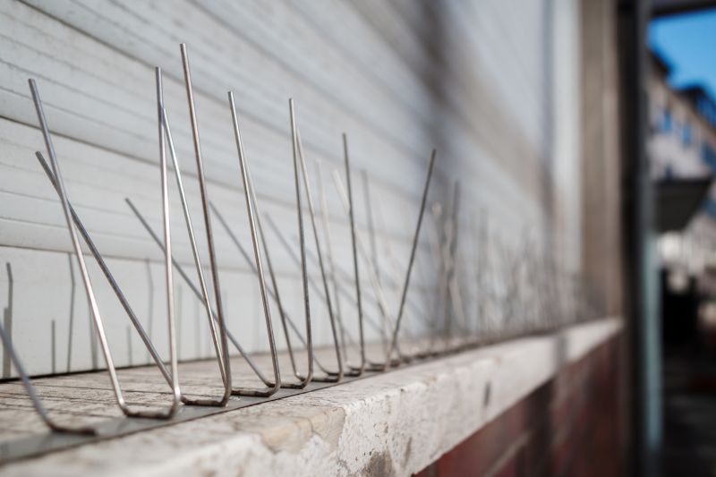 Bird Spike Installation