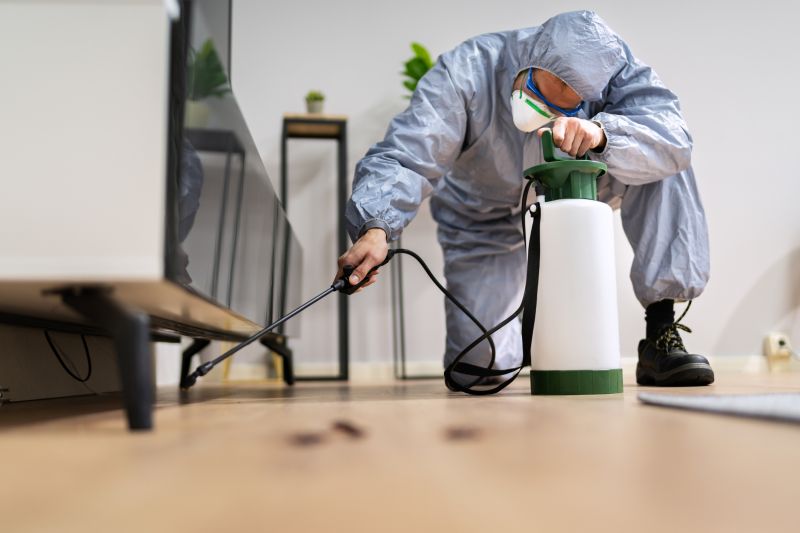 Spider Fumigation Service in Ann Arbor, MI