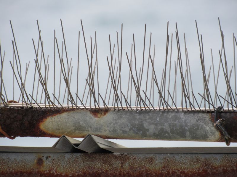 Customized Solutions