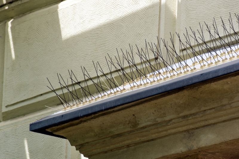 Contact About Bird Spike Installation