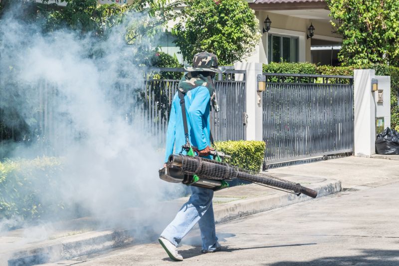 Spider Fumigation Service in Katy, TX